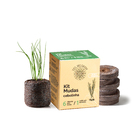 Kit Mudas | Cebolinha